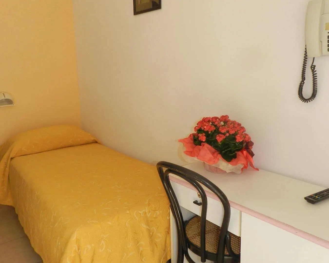 Hotel Sport Rimini
